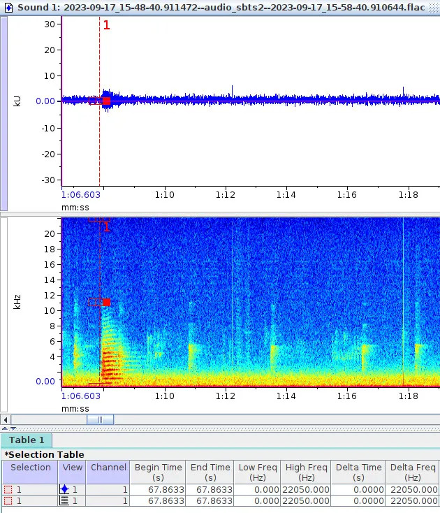 Here is the air horn blast