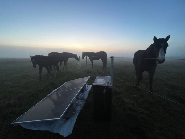 Solar installation with horses